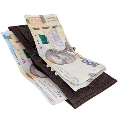 Затиск для грошей Karya. Артикул: KR0940-39. Ціна 920 грн